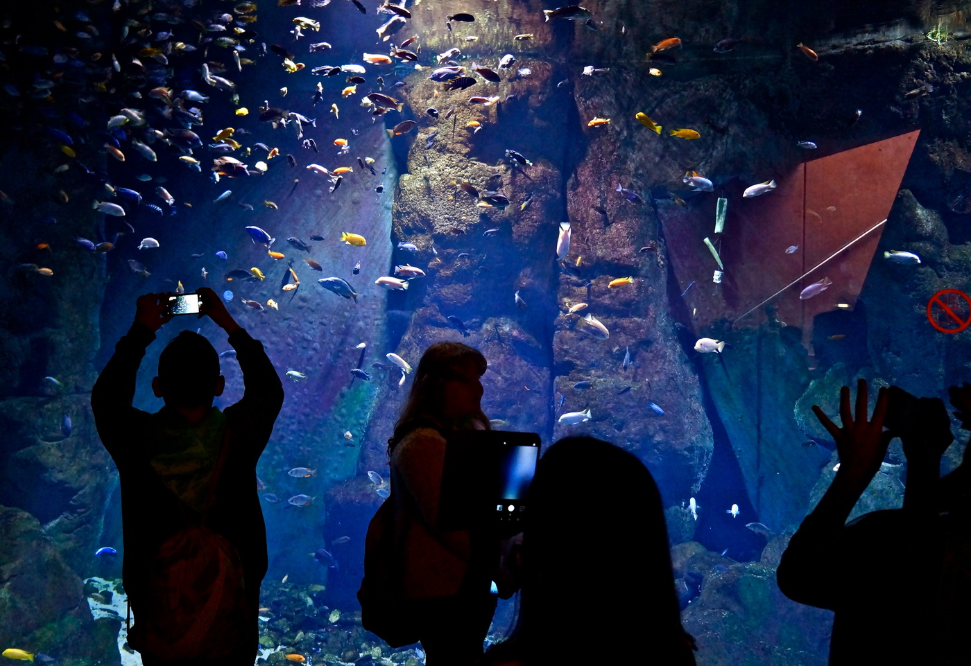 Флешмоб на тему «Силуэт»