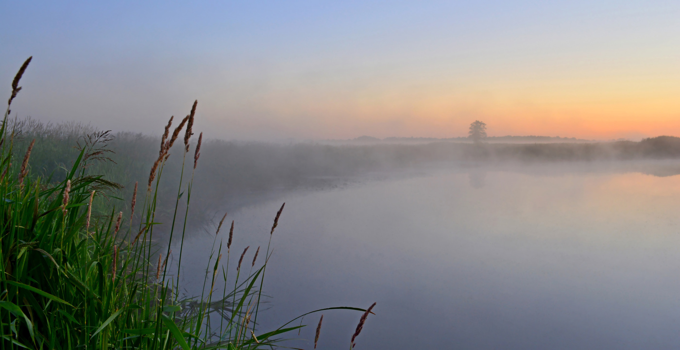 Летние зори