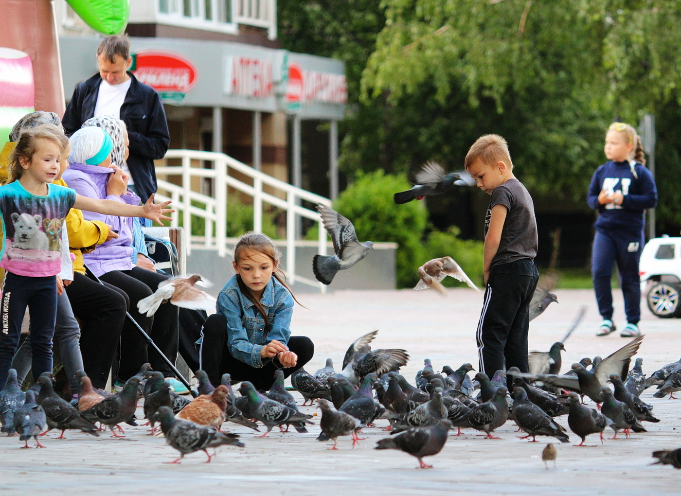 Любовь и голуби