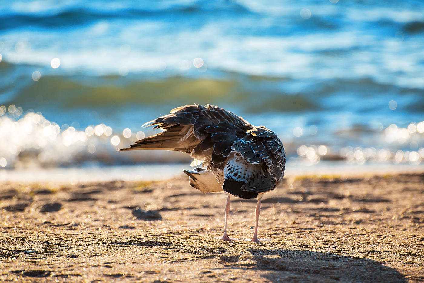 - Ноги побрила, а подмышки забыла...!)