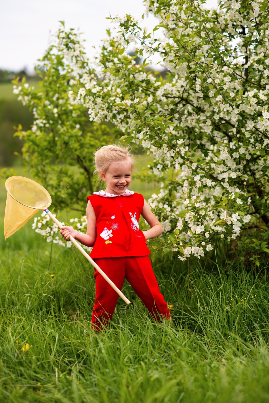 Где бабочки?