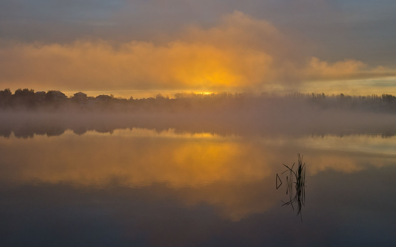 Золотой туман сентября