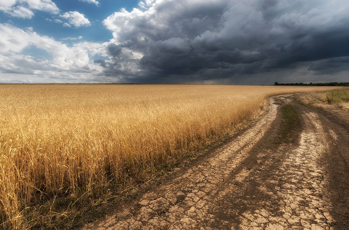 Надвигается...