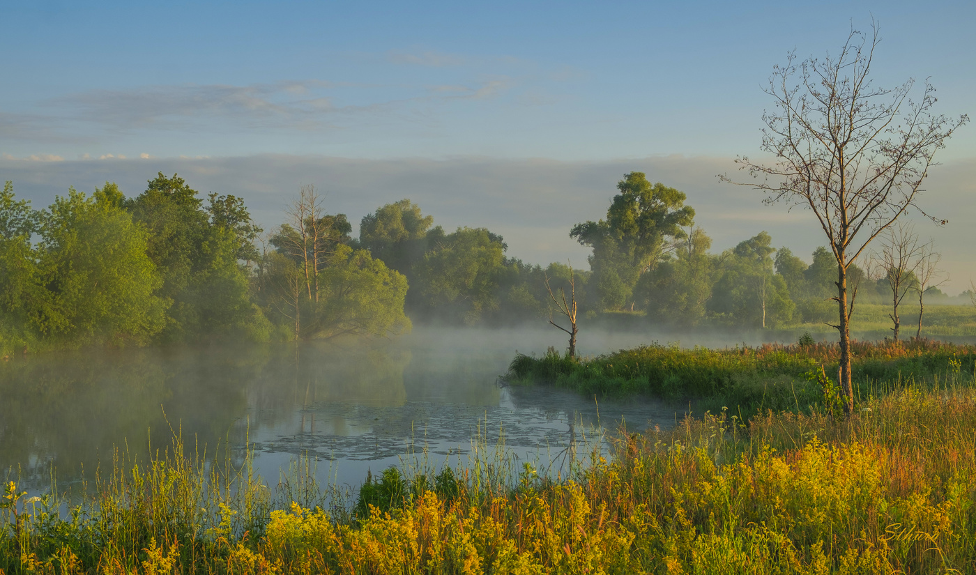 Туман на озере Омут.