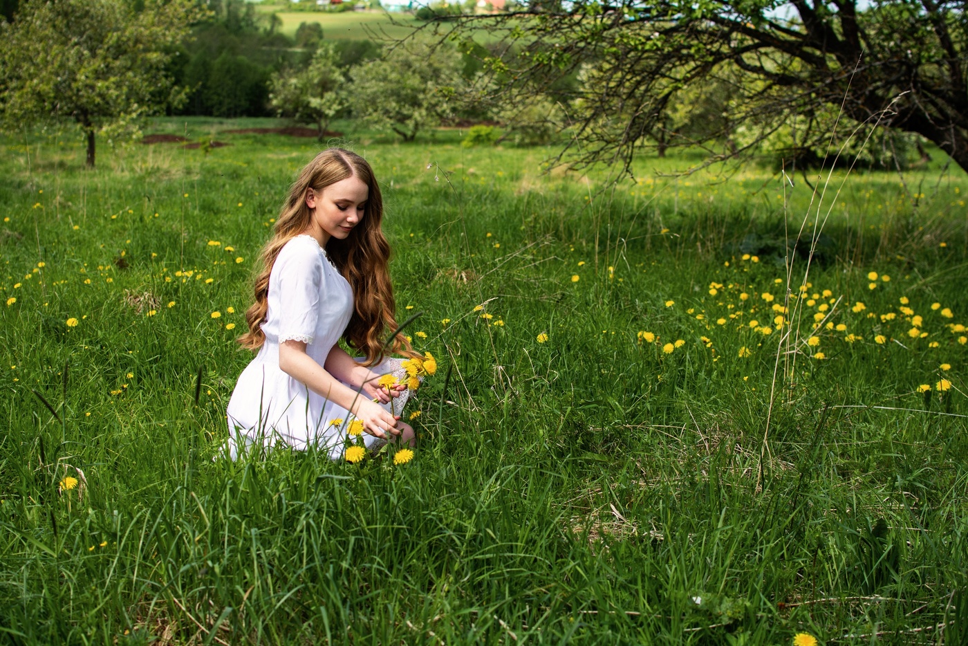 В полевых цветах