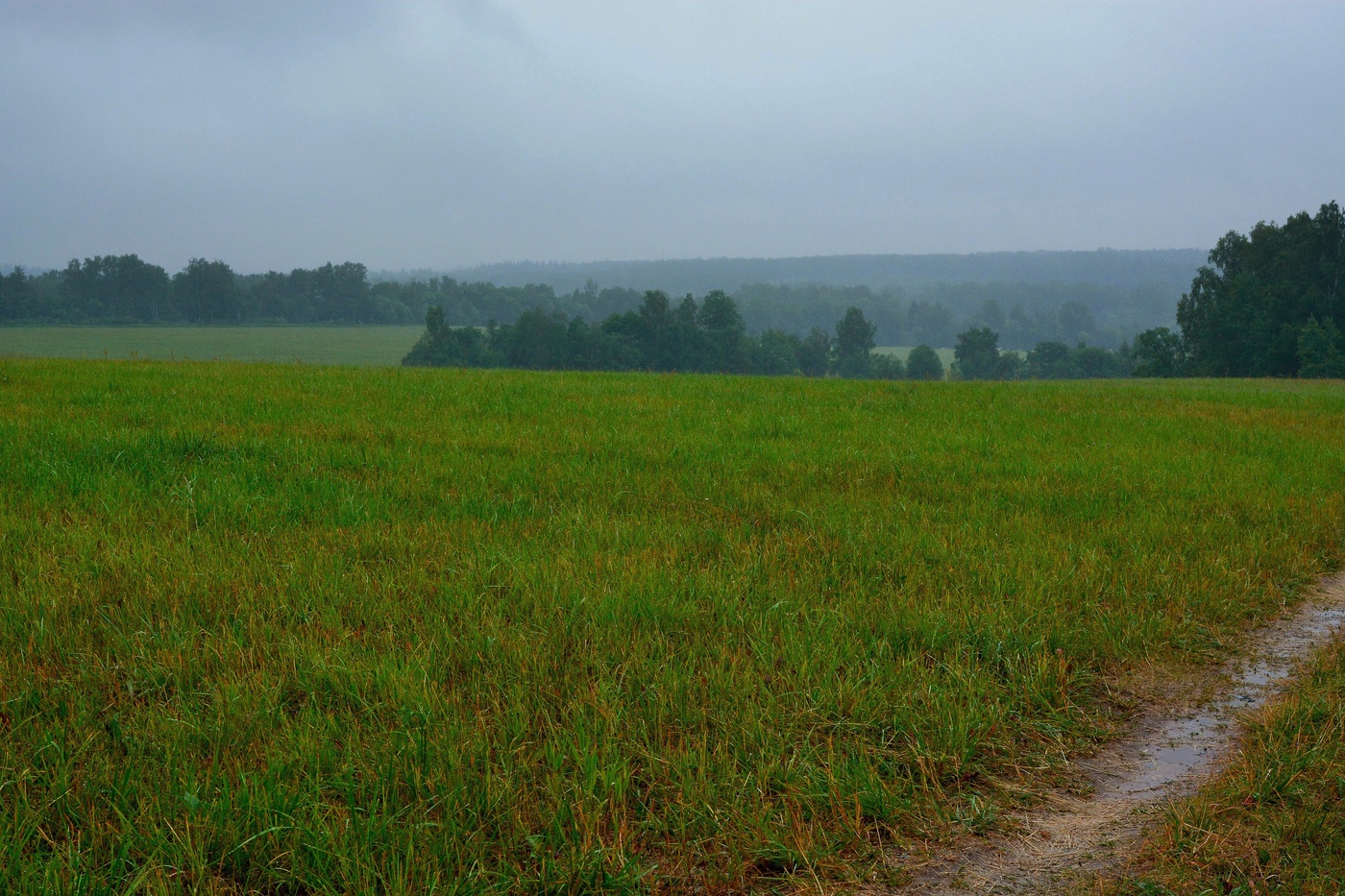 "Люблю я пасмурные дни ..."