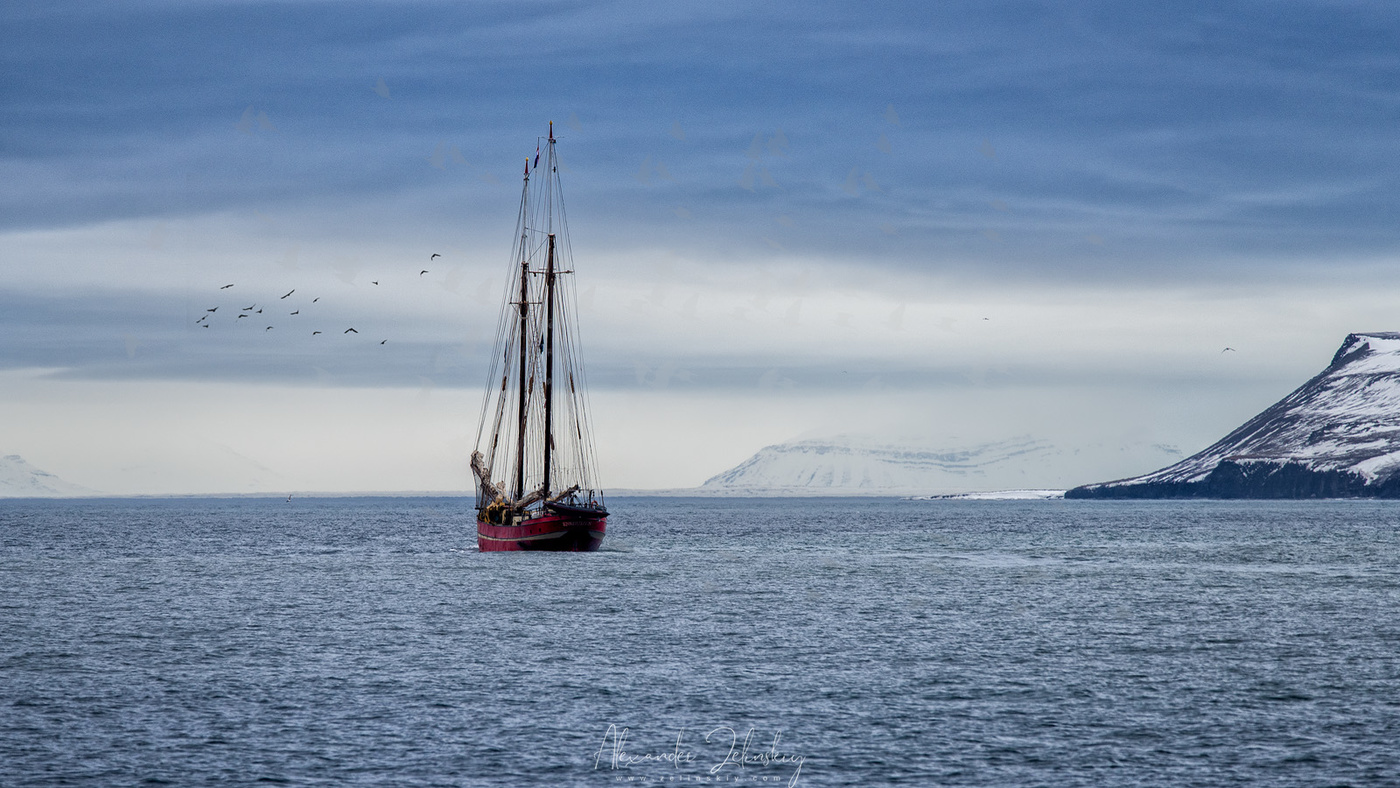 К новым берегам