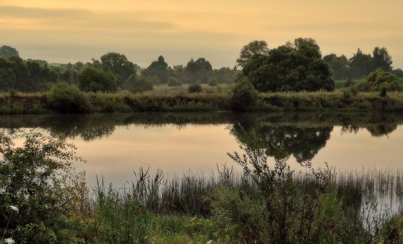 Раннее июльское утро