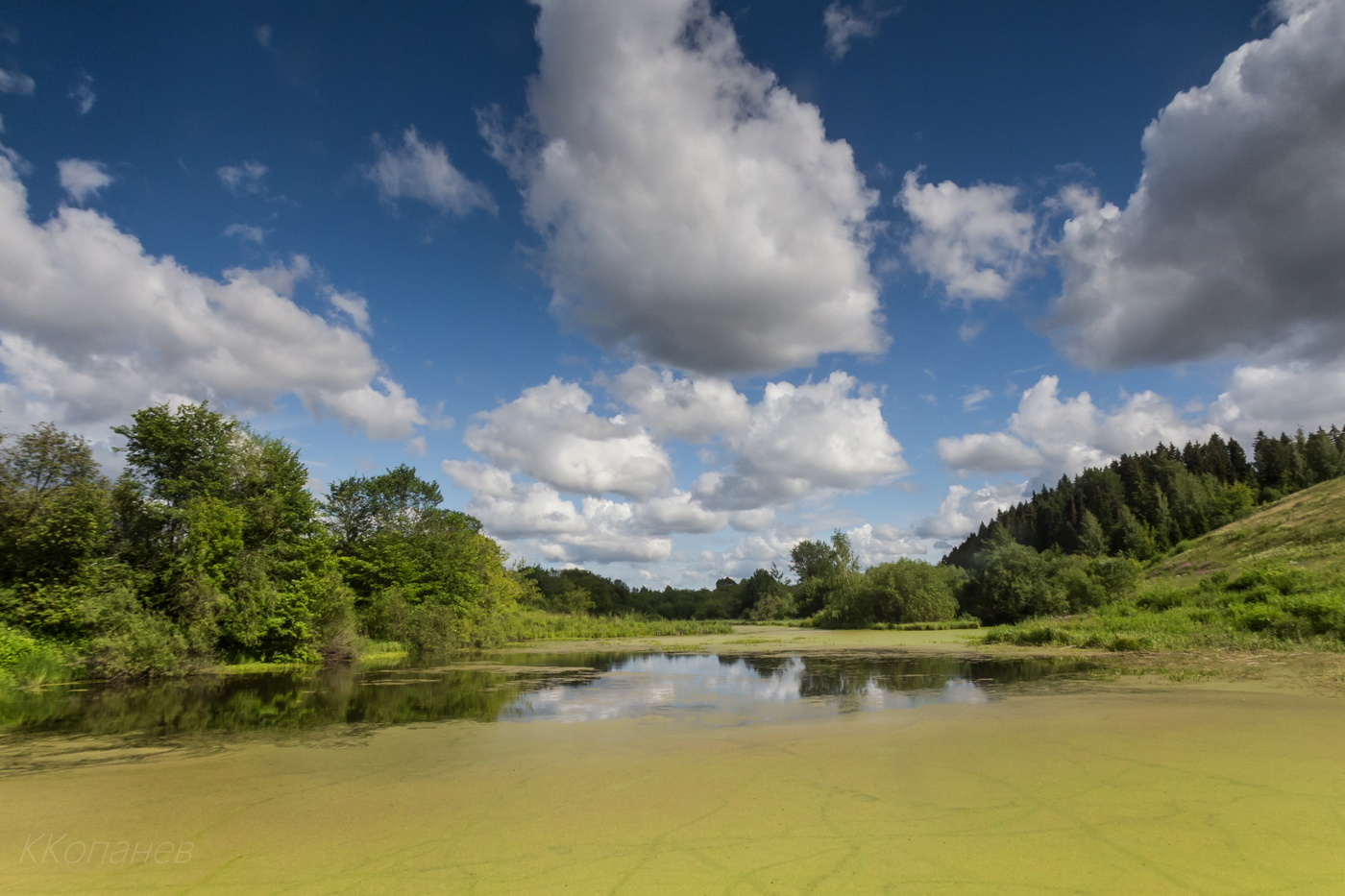 Летнее настроение