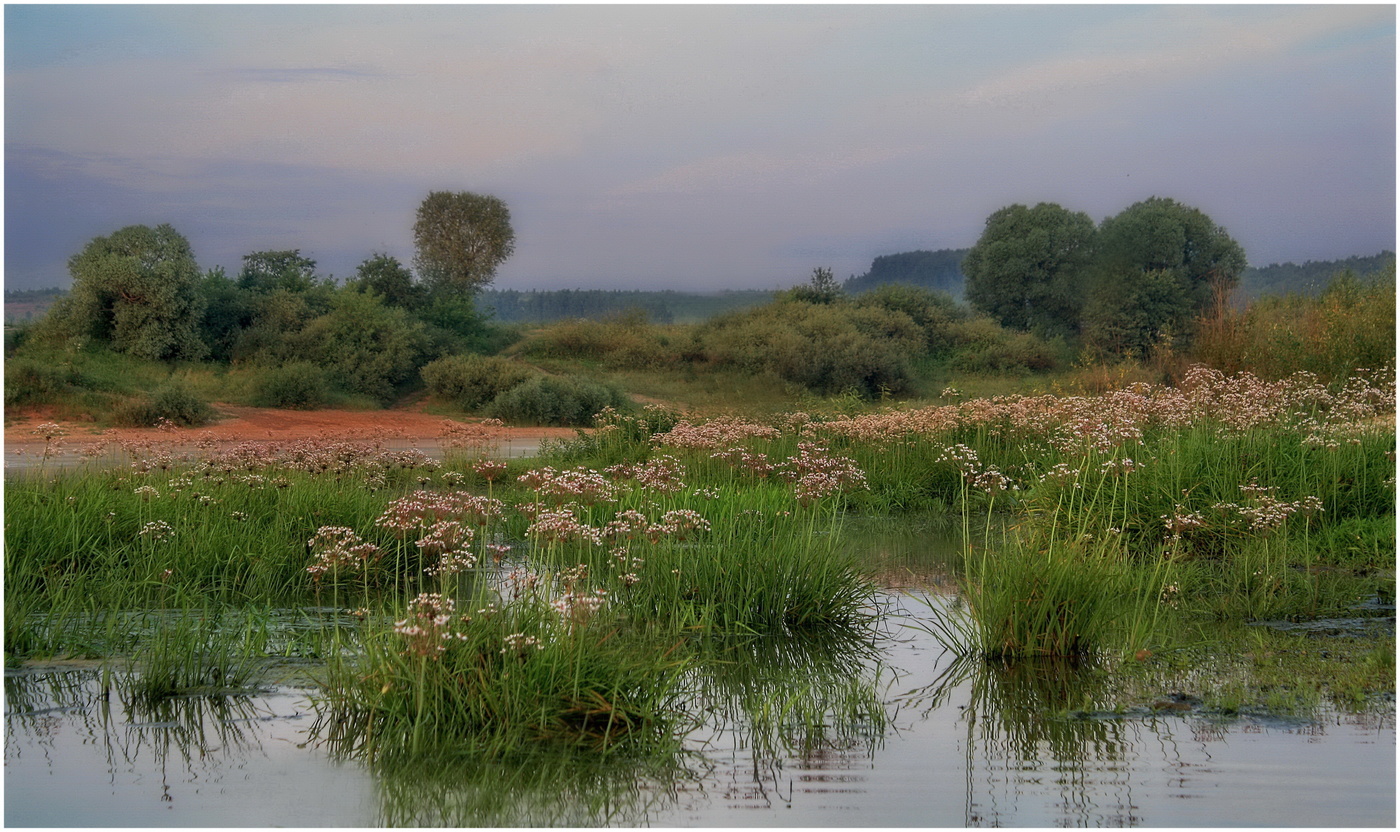 Заливные берега Оки