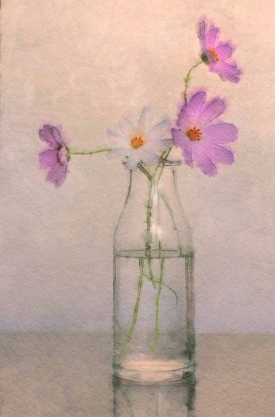 цветы из детства