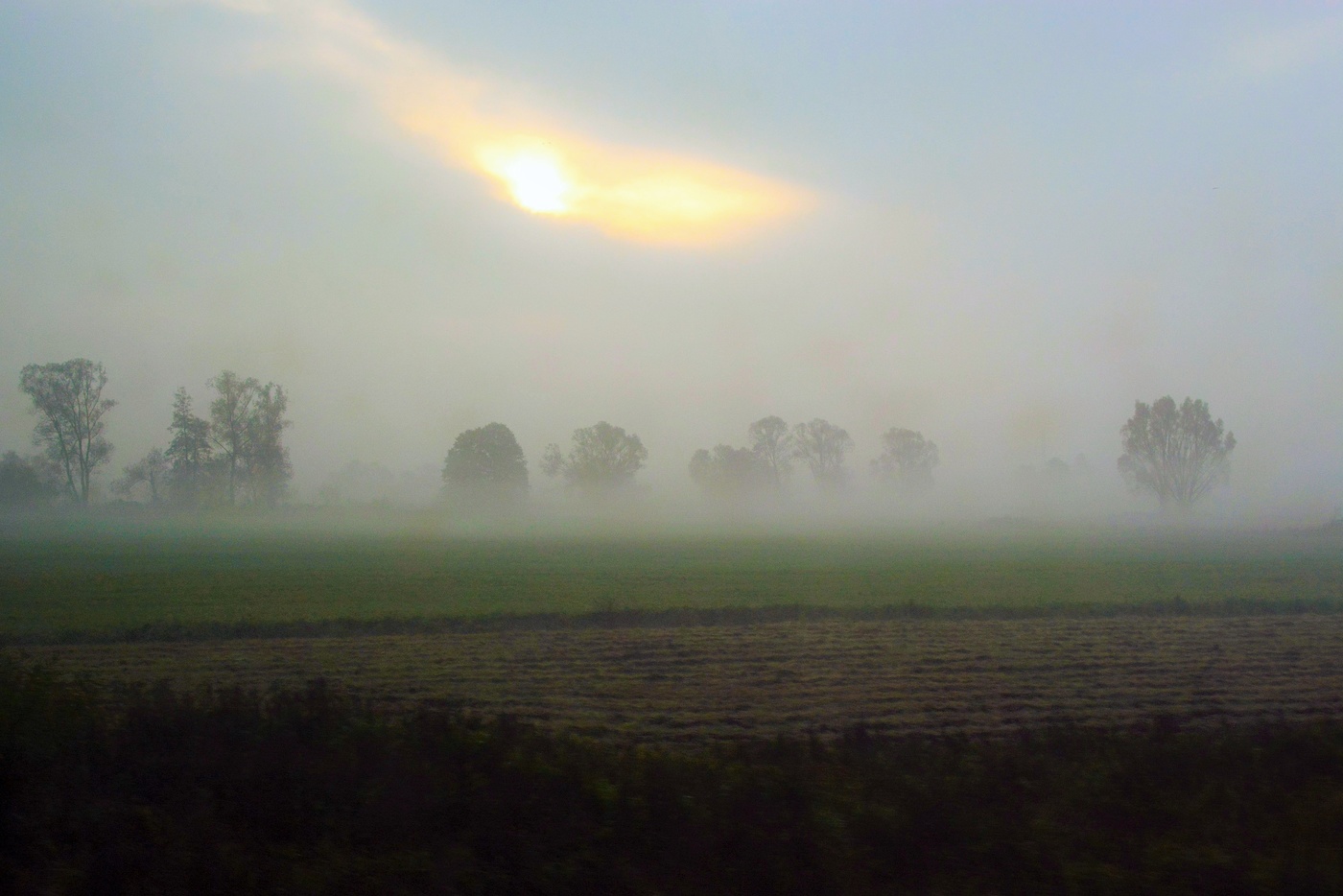 "Туман клубится над полями косматый, вязкий и седой..."