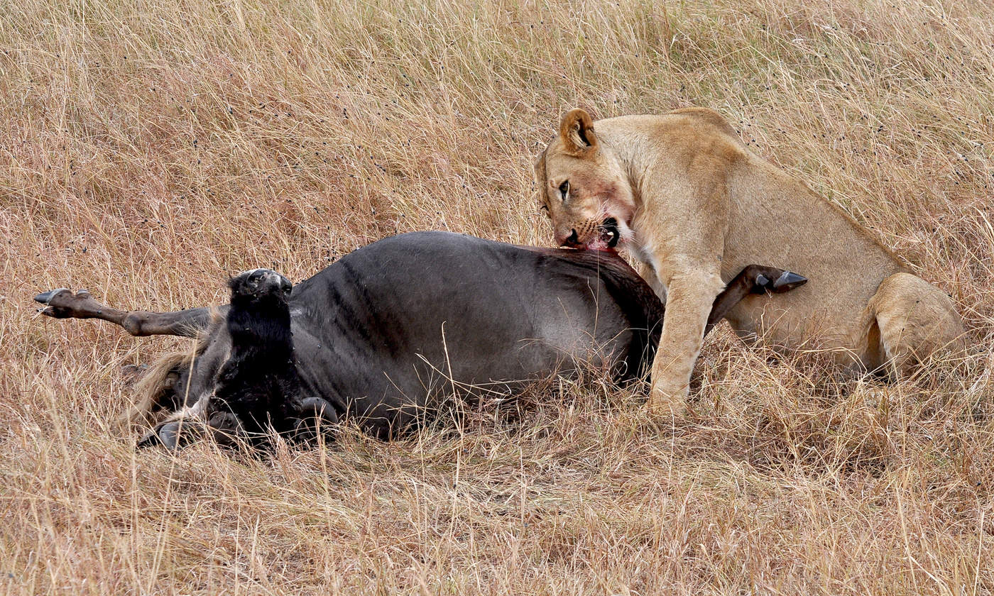 Драматическая зарисовка
