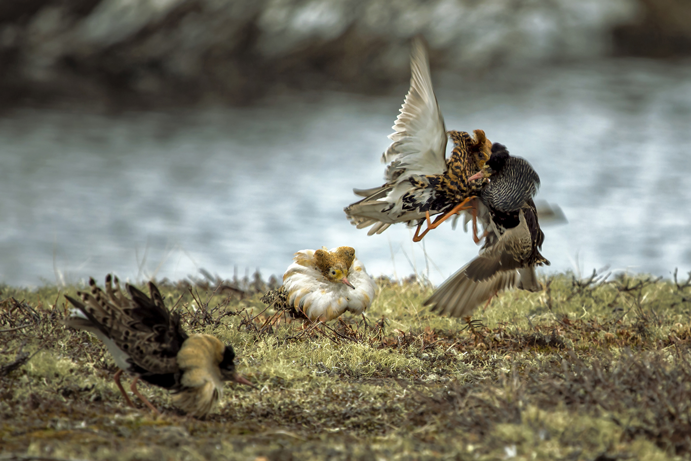 Драматическая зарисовка