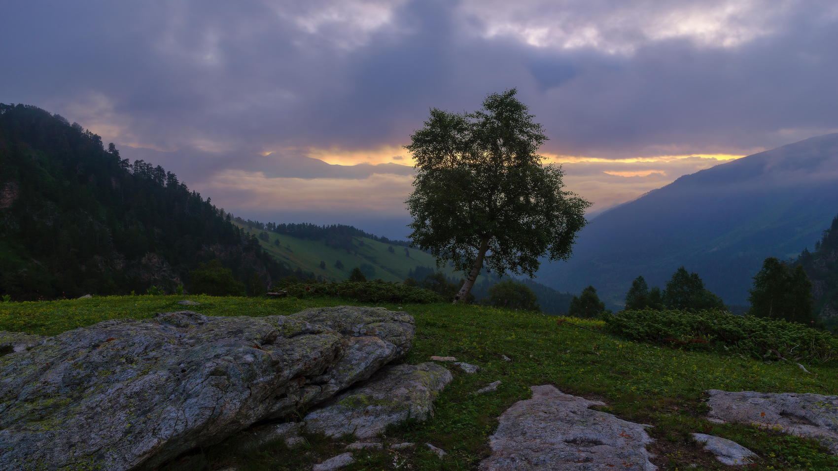 В ожидании рассвета