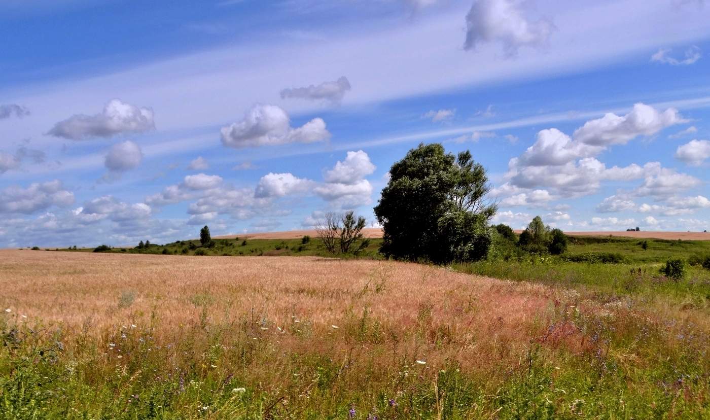 О, небо, небо! Твой путь воздушен!