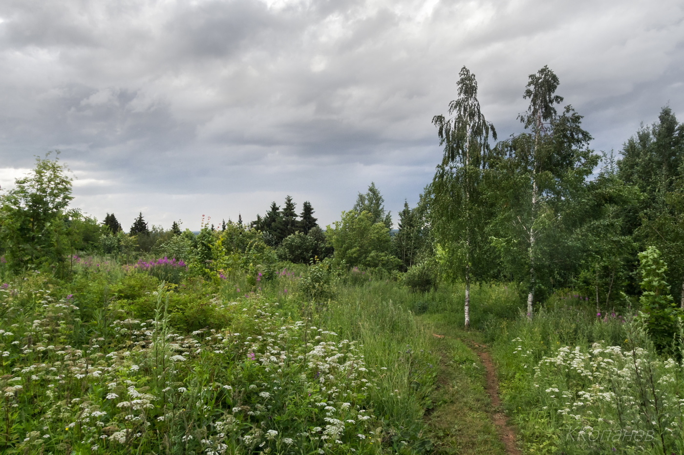 Две подружки у дорожки