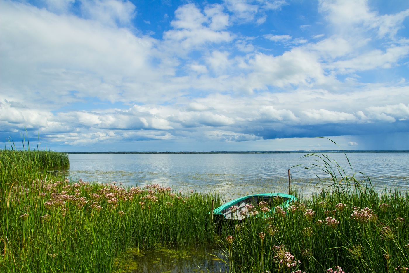 Яркие краски лета