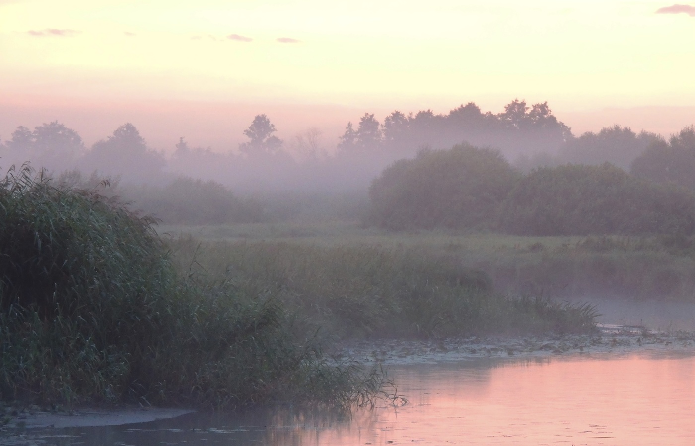 Розовое утро на реке