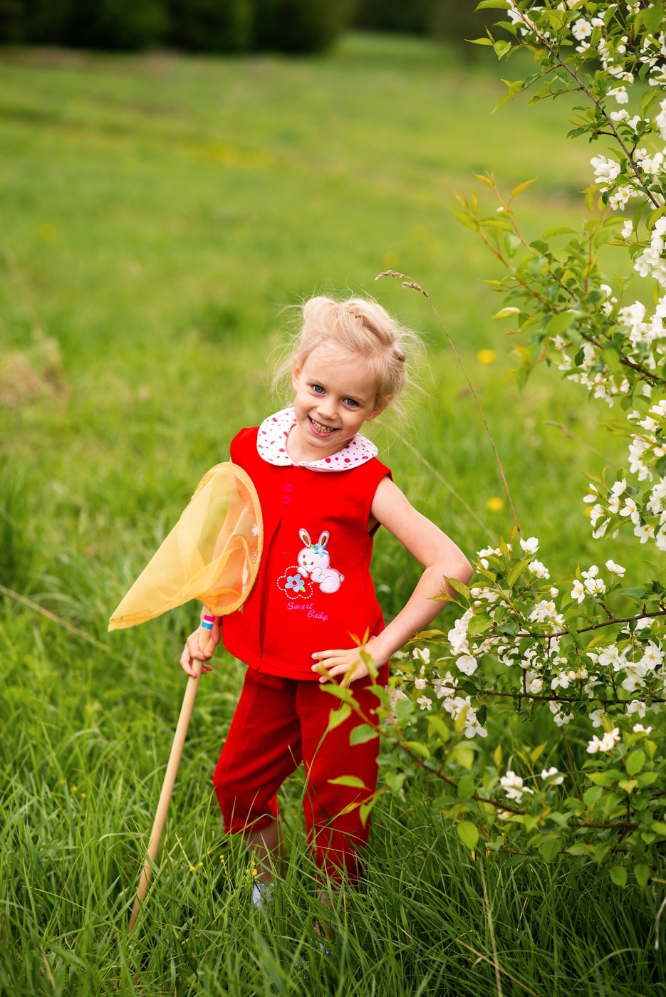 Улетели бабочки