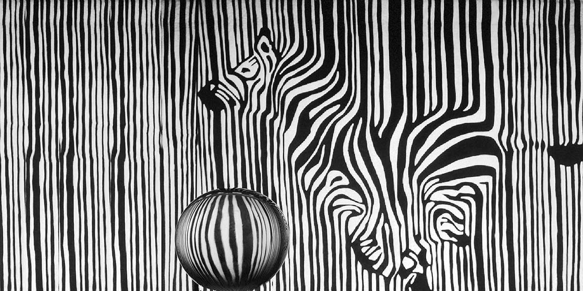 Путешествие в ОП-АРТ.Конный пушбол.