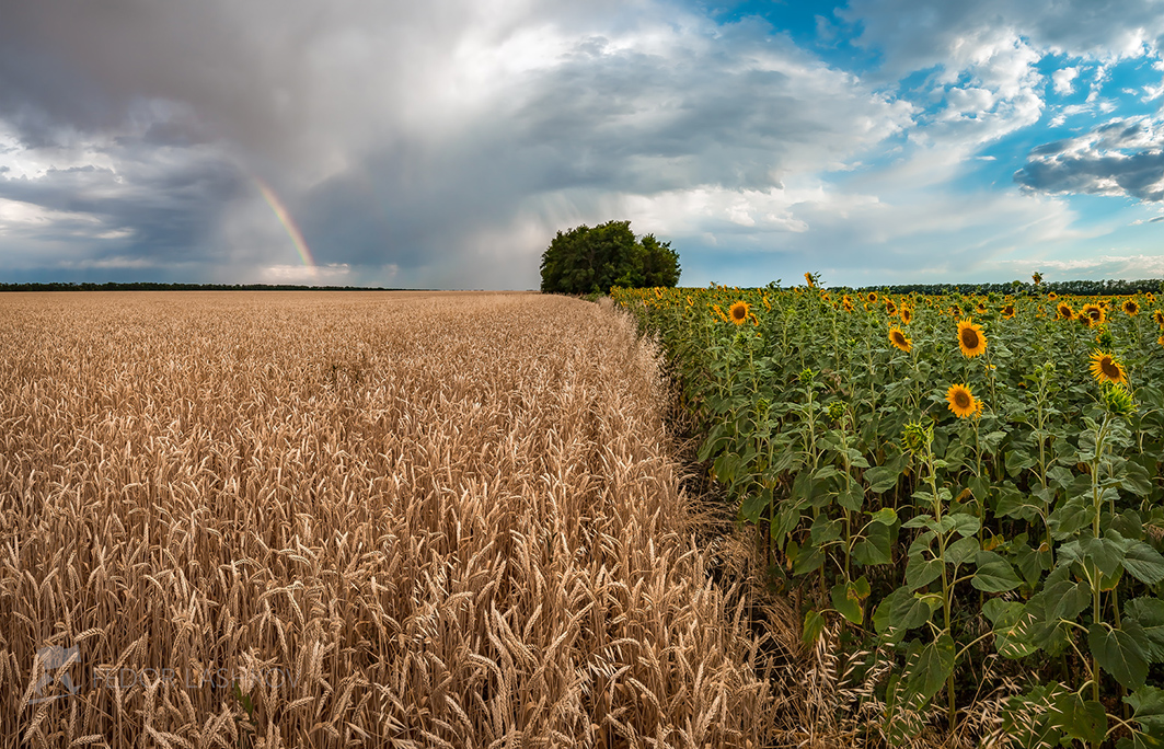Лето Ставропольское