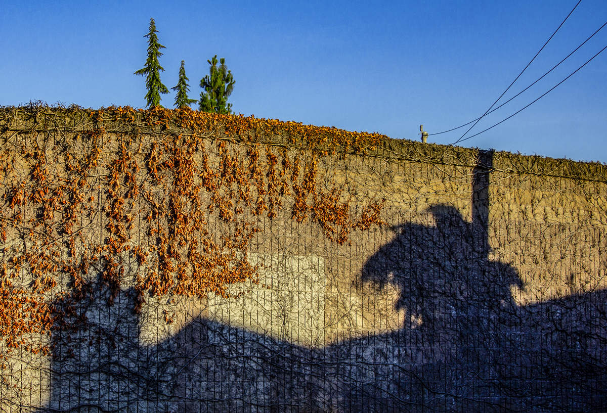 Противовес