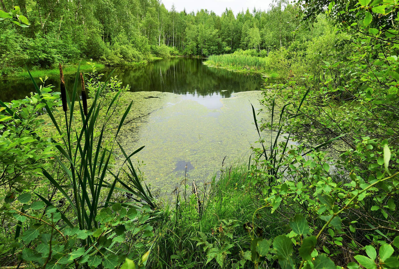 "Здесь крики не слышны. Здесь - Тишина..."