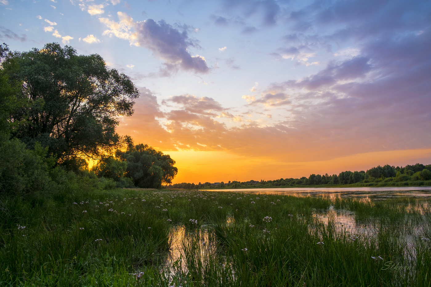 Заросший берег Истока.