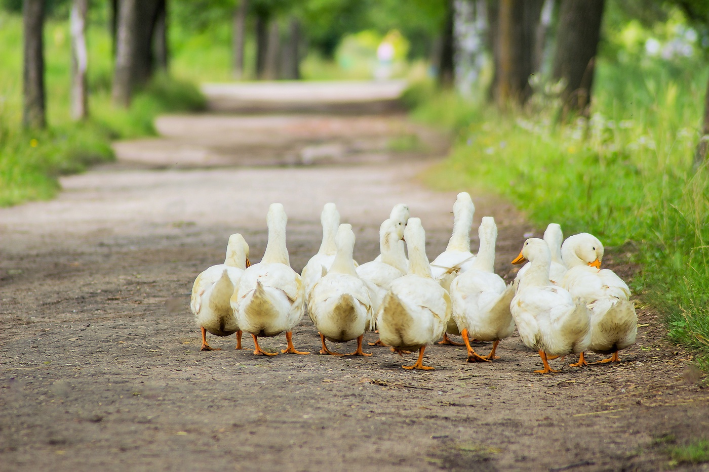 Куда-то надо...