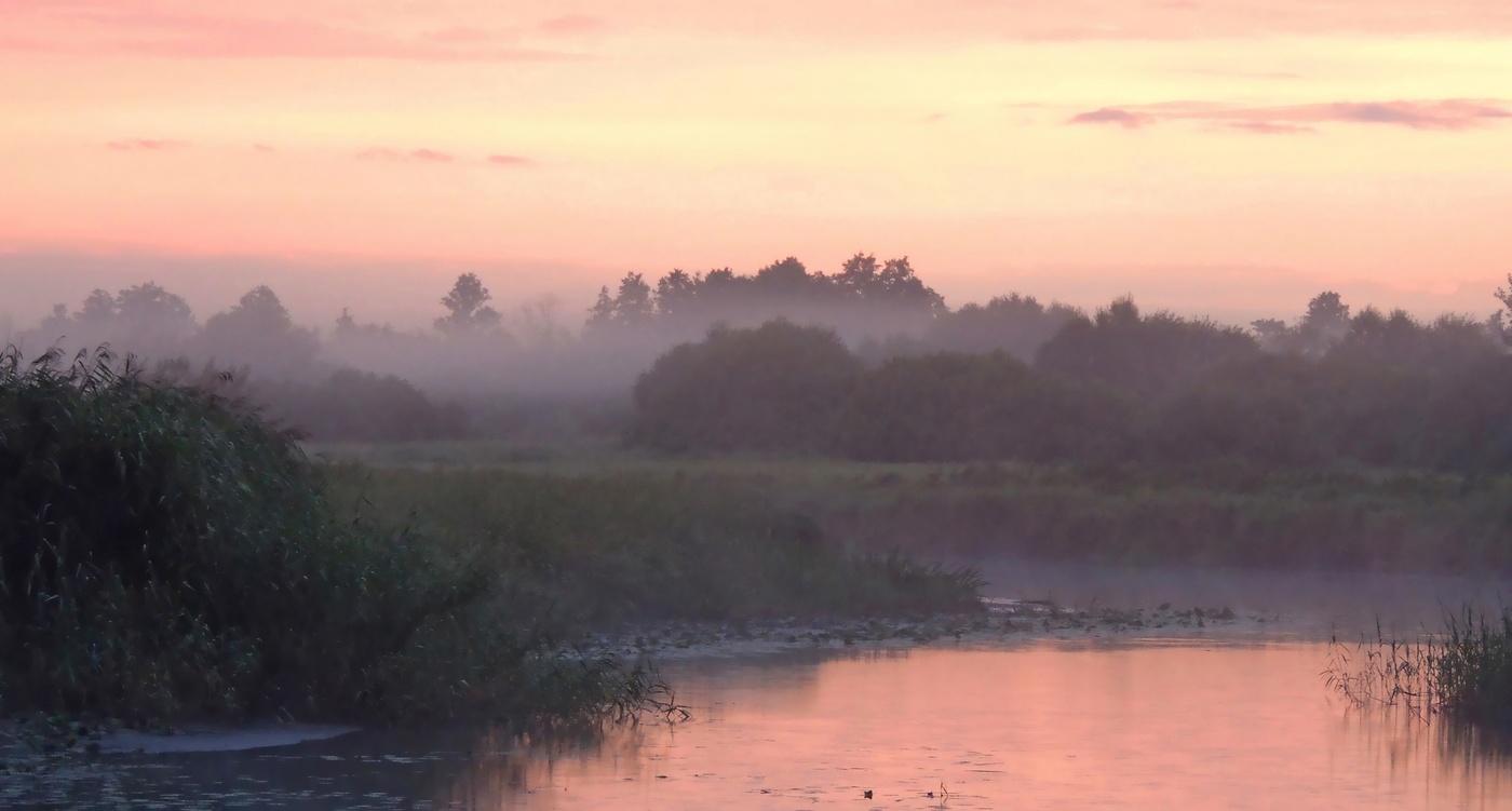 Время розовых рассветов