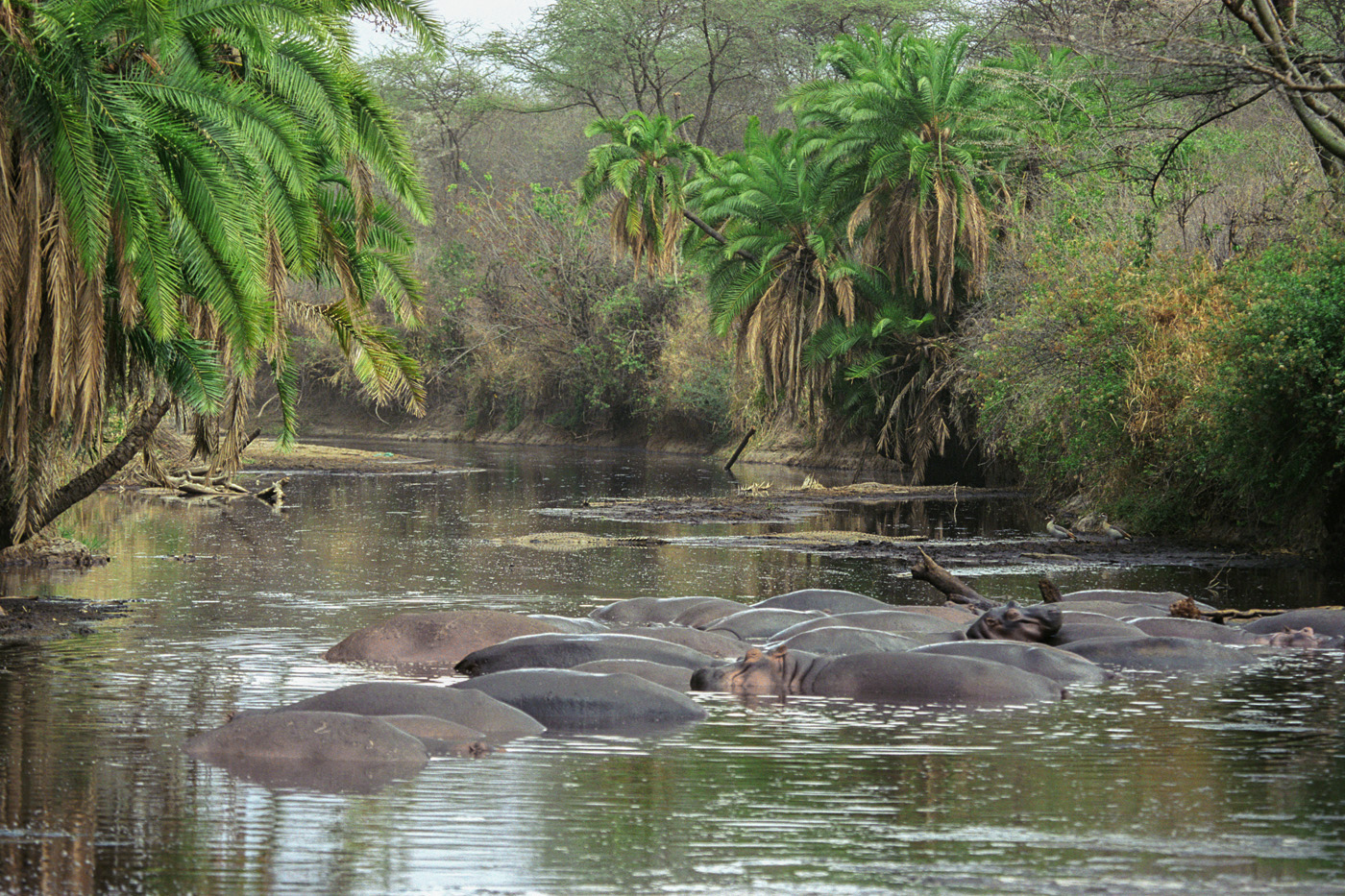 "В тесноте, да не в обиде"