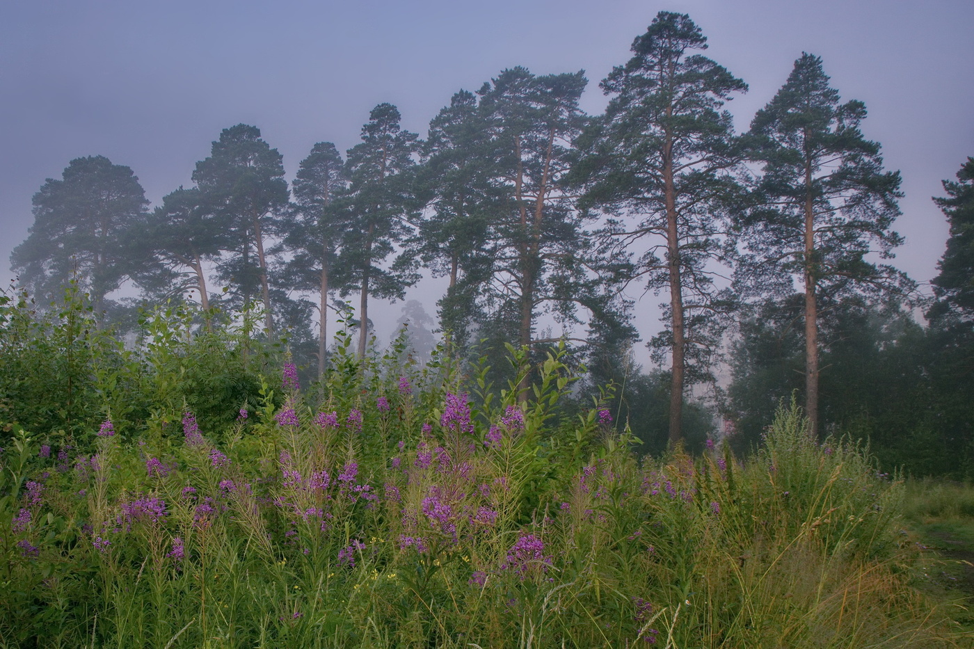 На рассвете.