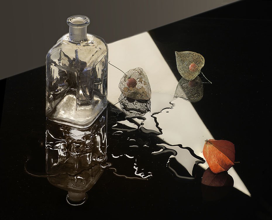 с физалисами