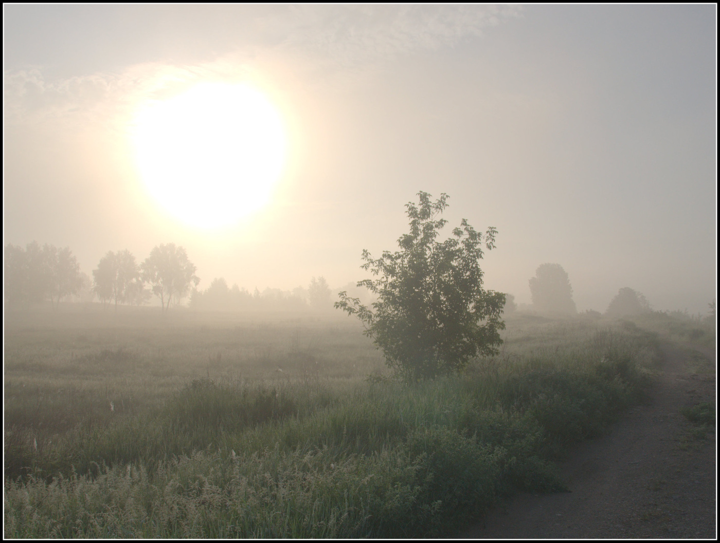 Дороги , которые выбирают нас...