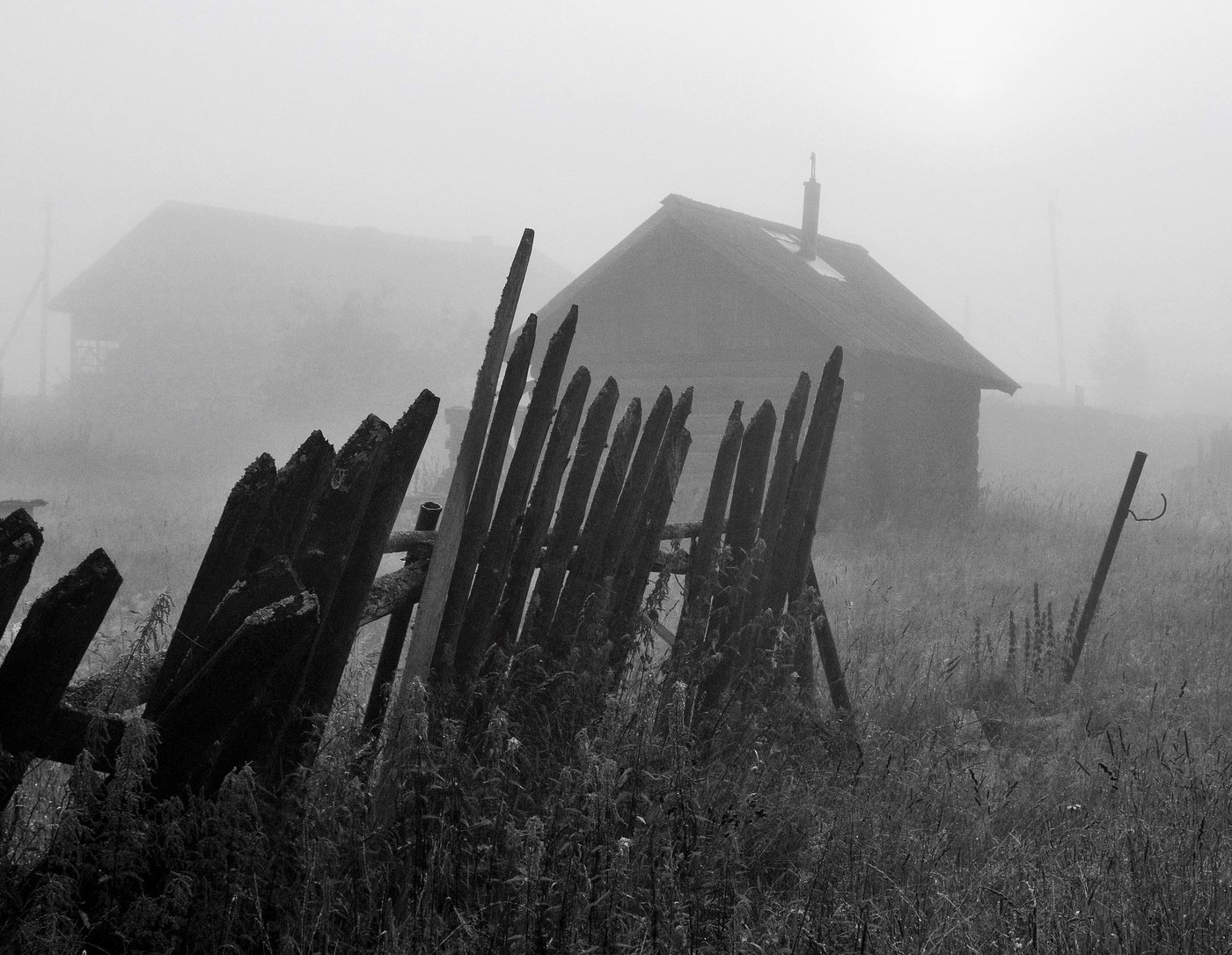 "Туман все вокруг сделал мутным ..."