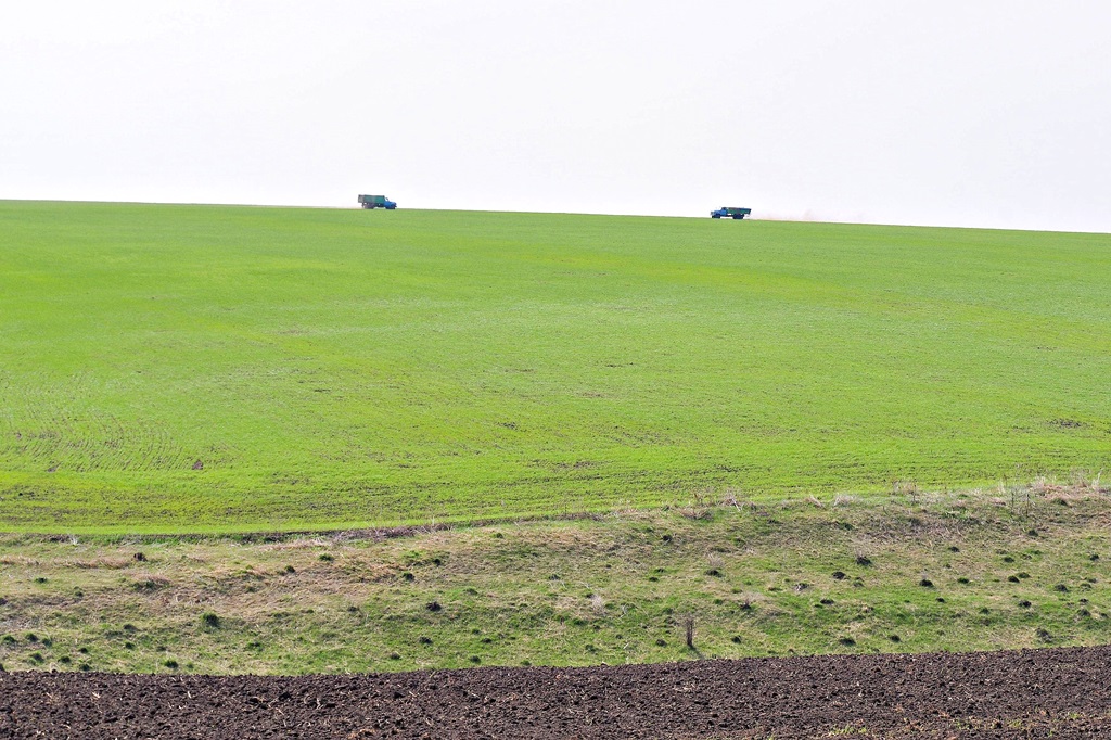 Берегись автомобиля
