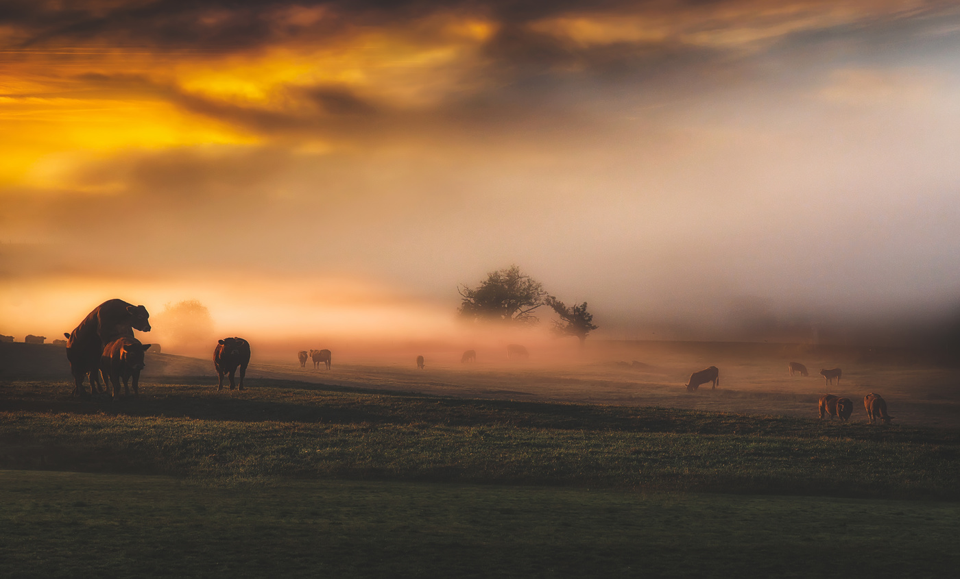 ..Деревенская пастораль или пастушеская поэзия..)