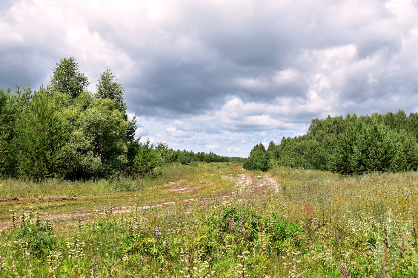 Кажется дождь собирается...