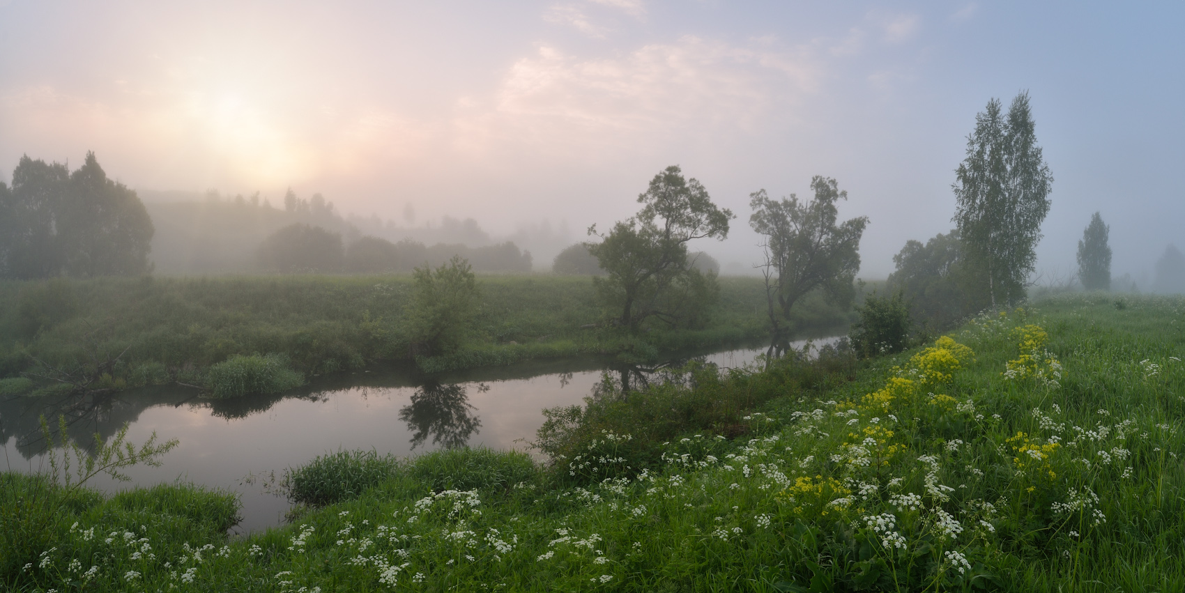 Нежностью рассветной свежести...