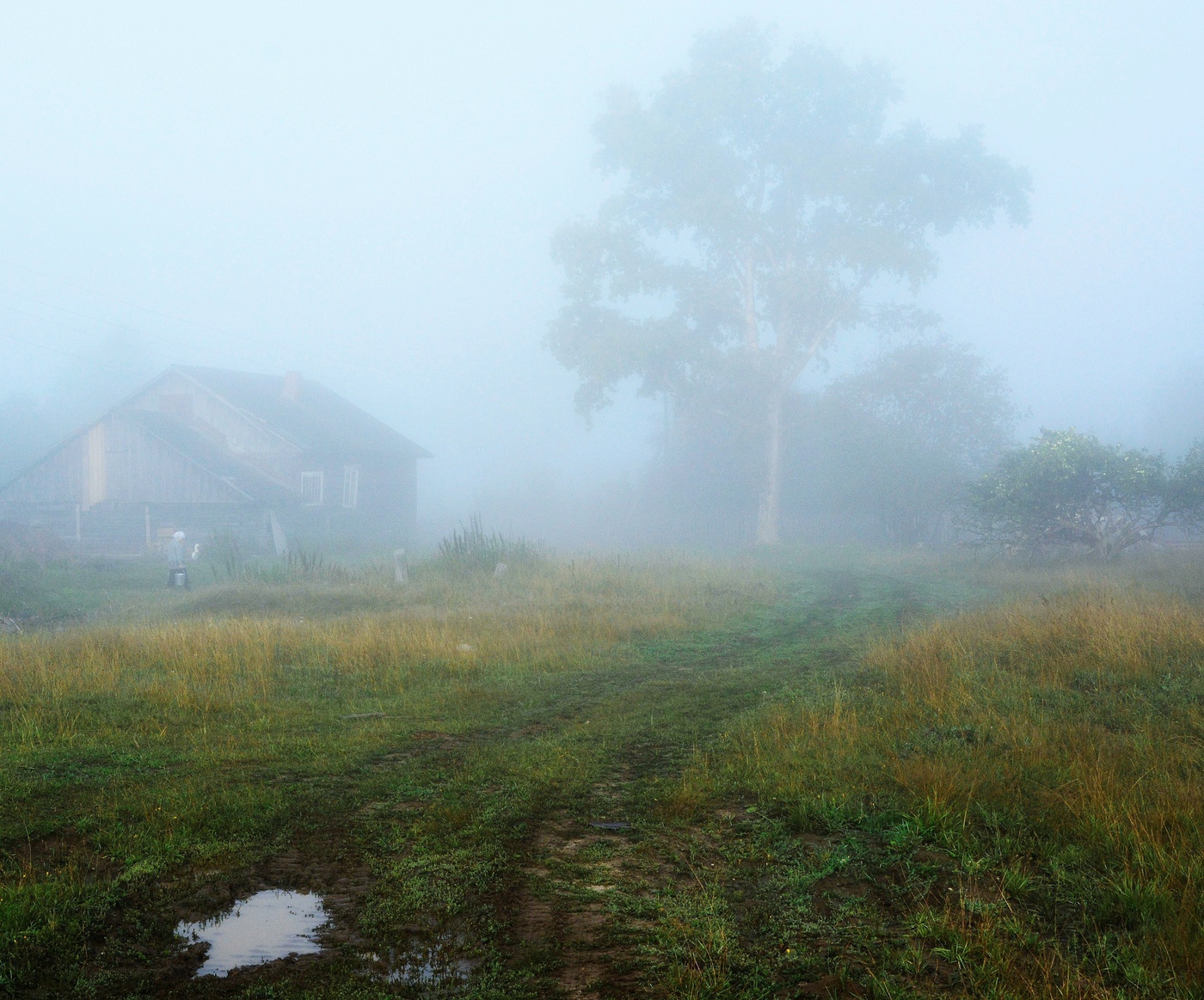 Утро в деревне ...