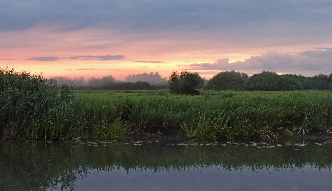У тихой реки