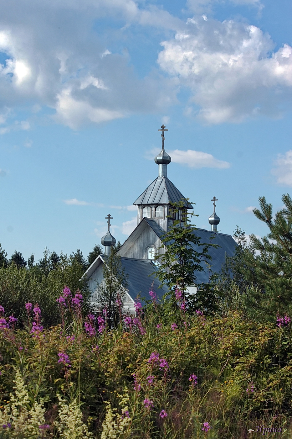 Церковь Варвары Великомученицы в Золотце.