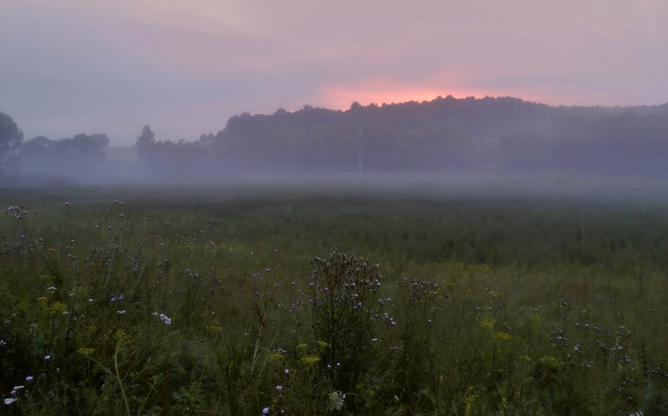 Утро сквозь туман наполняется светом