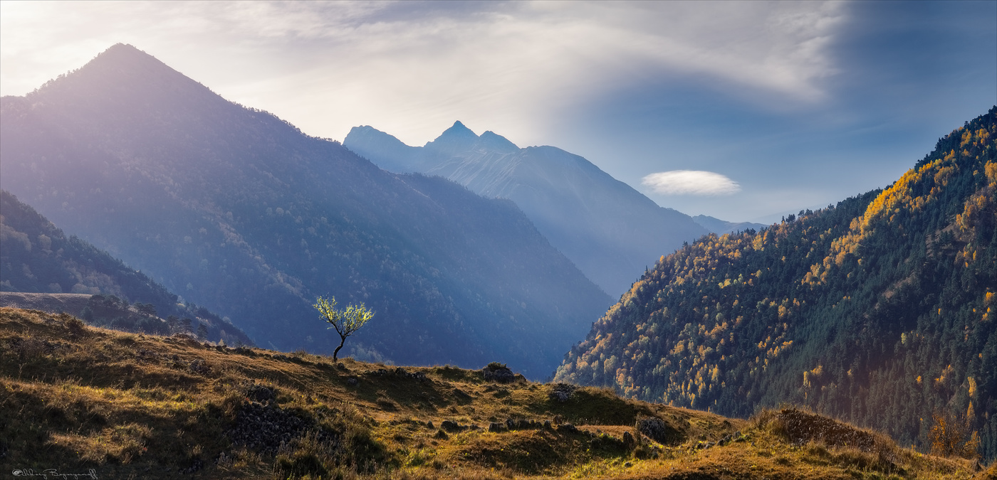 Слушая тишину...