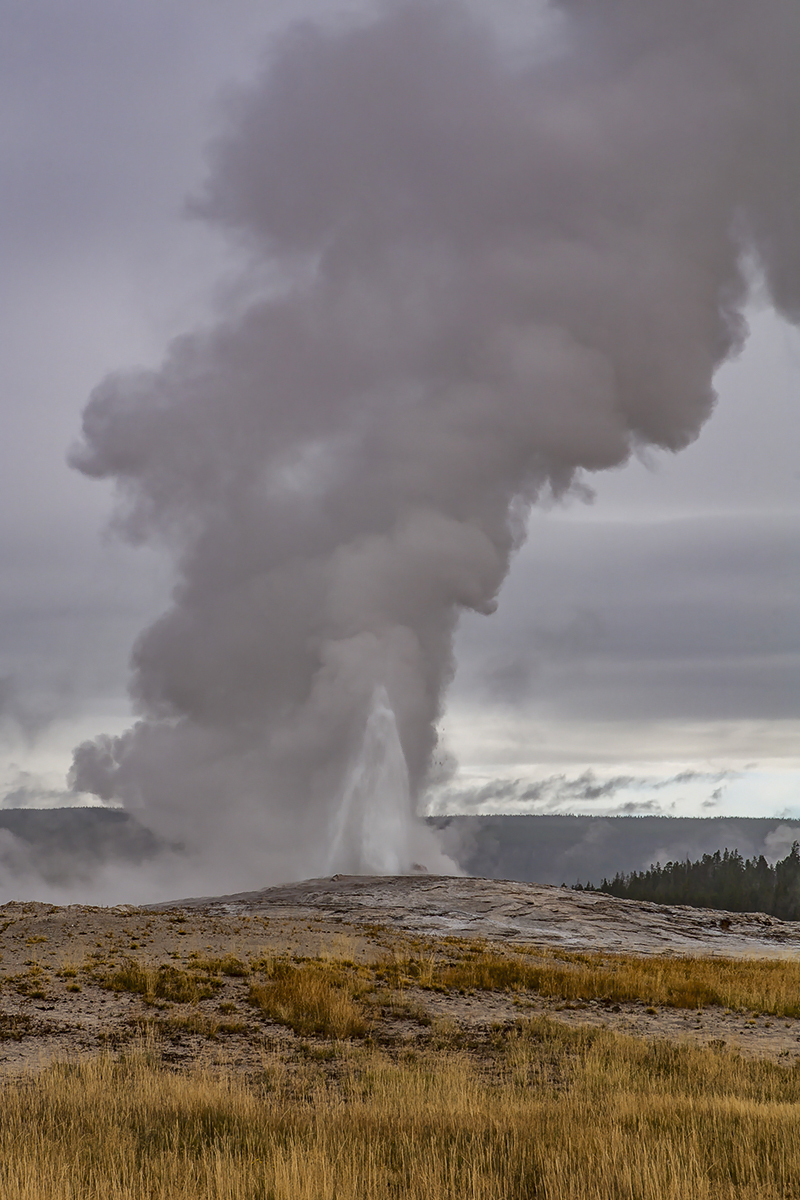 "Старый служака"