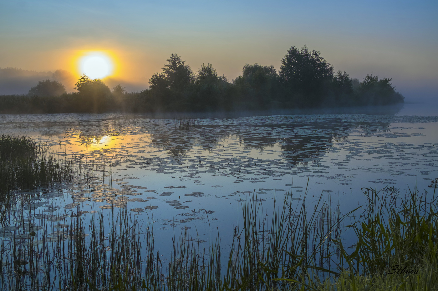 Озеро Сосновое. Рассвет.