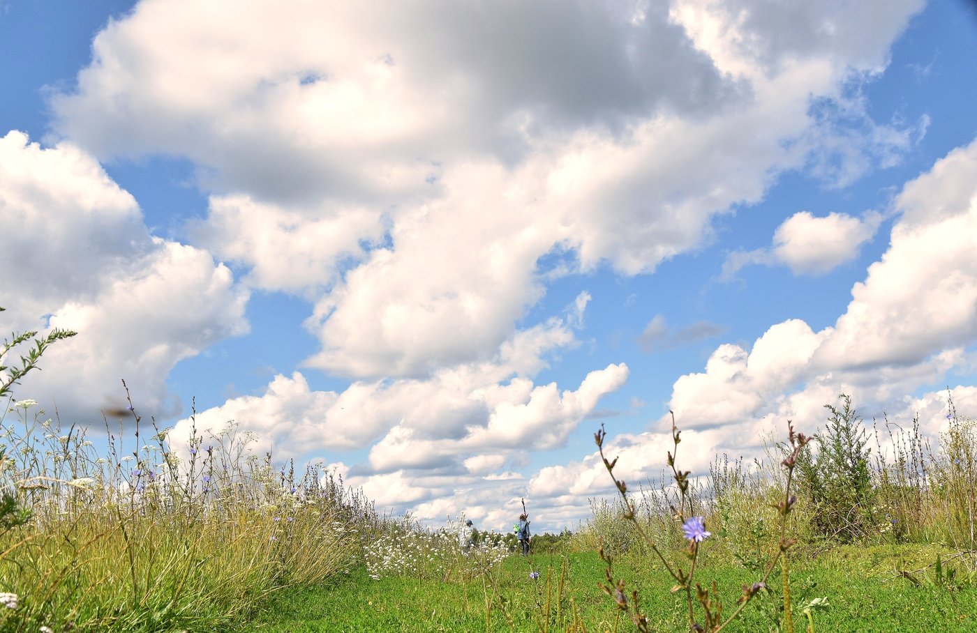 За околицей
