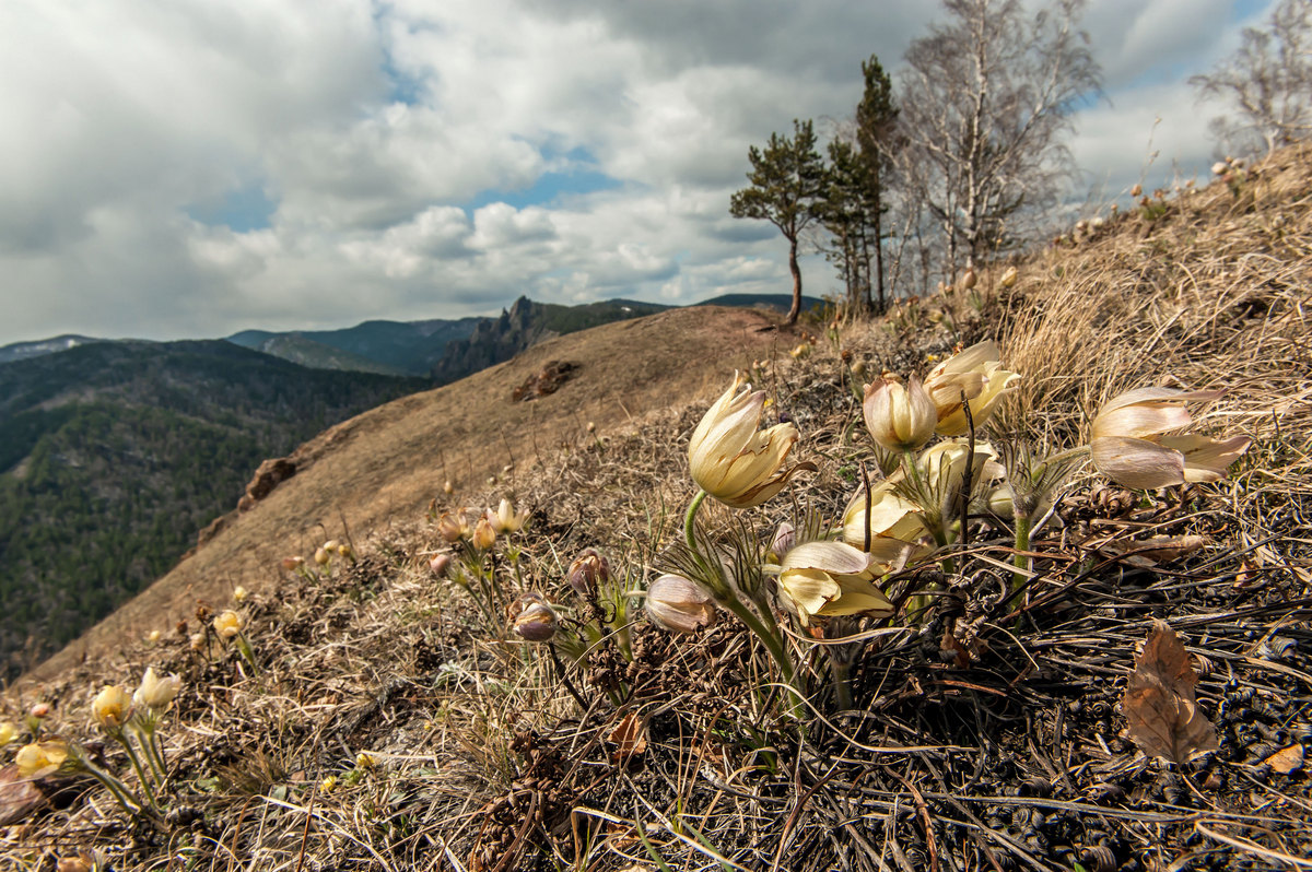 По весеннему...