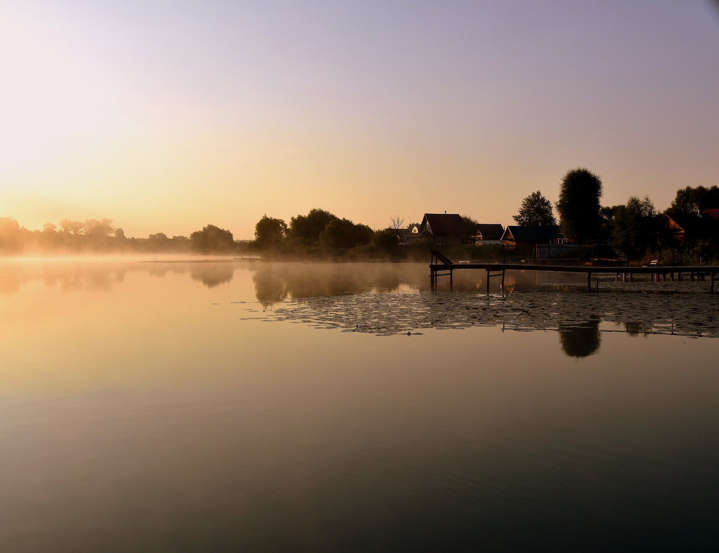 Нежность июльского утра